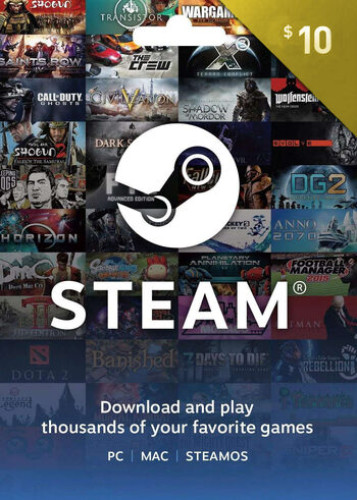 Steam 10 USD